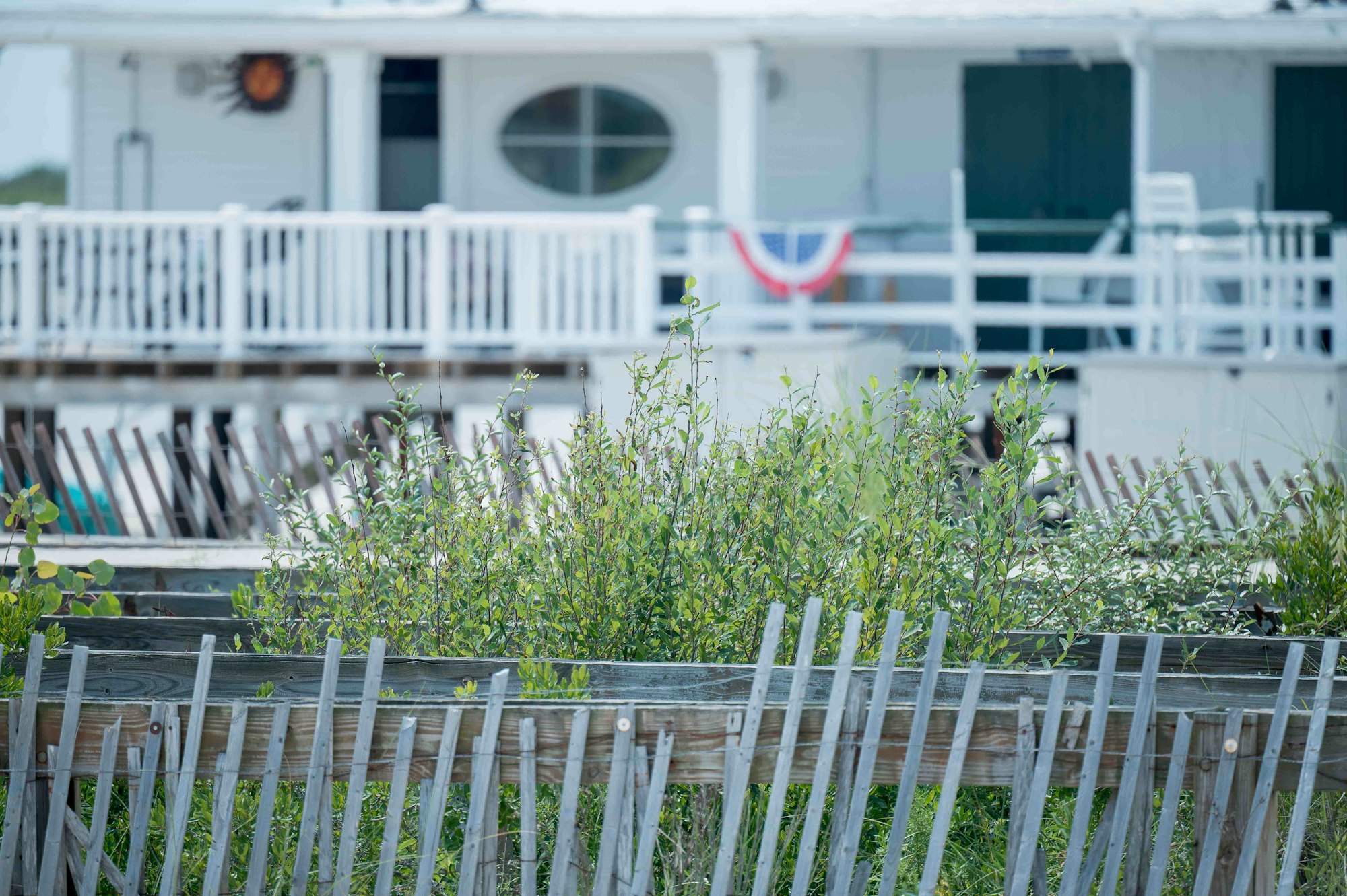 White porch railing above the dune fence and sea grasses
