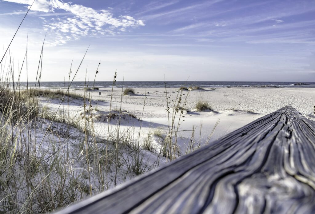Weathered boardwalk through sea oats to the sand